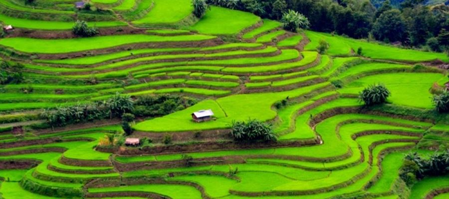 Beauty Of Kerala